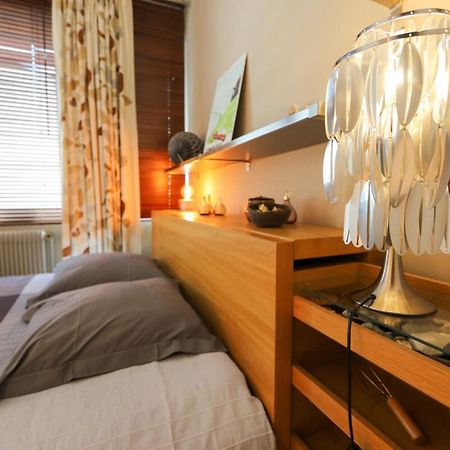 Le Rhone Apartment Annecy Luaran gambar